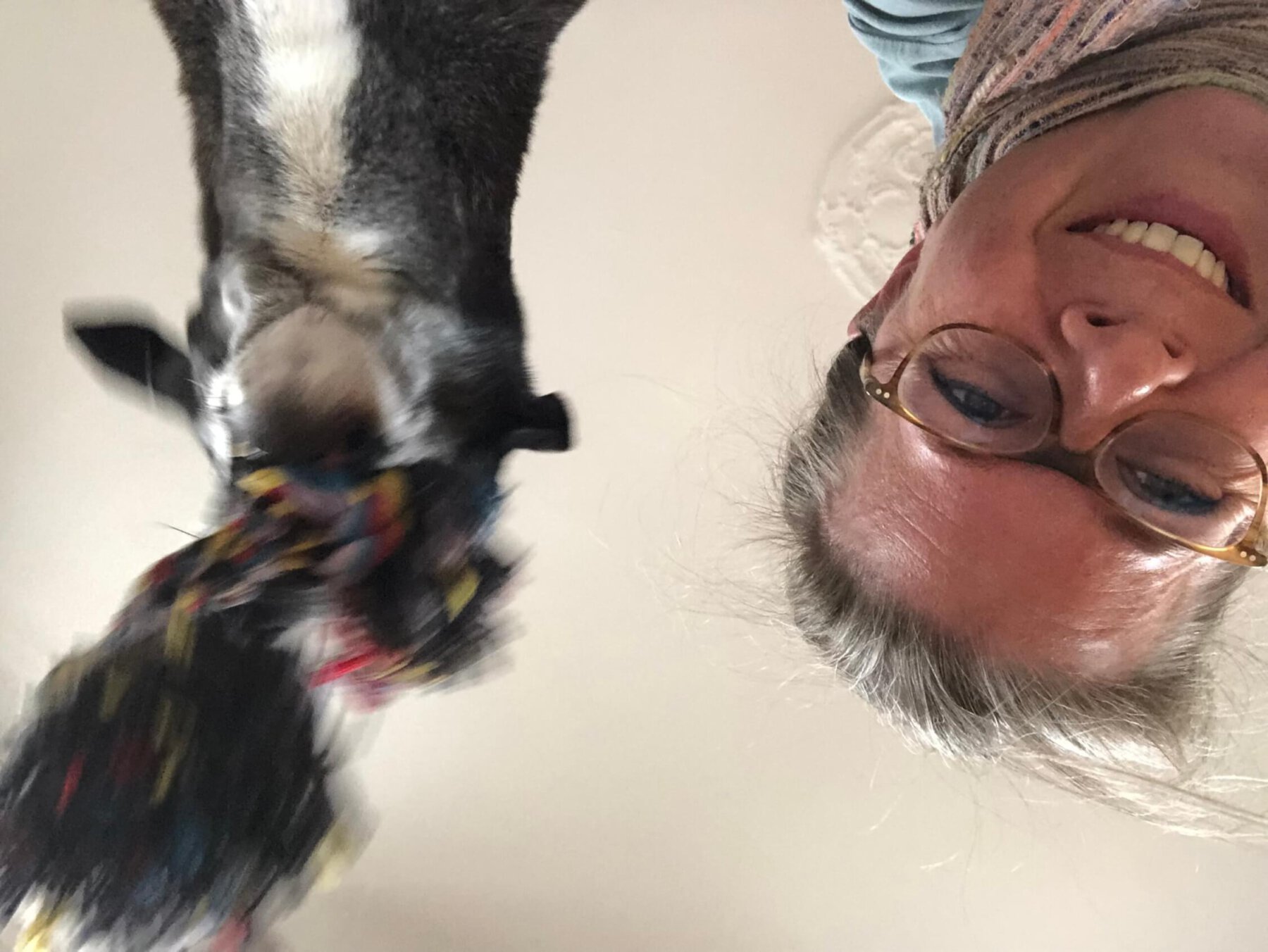 Hund mit Seil im Maul und Frau lachend von unten über Kopf fotografiert